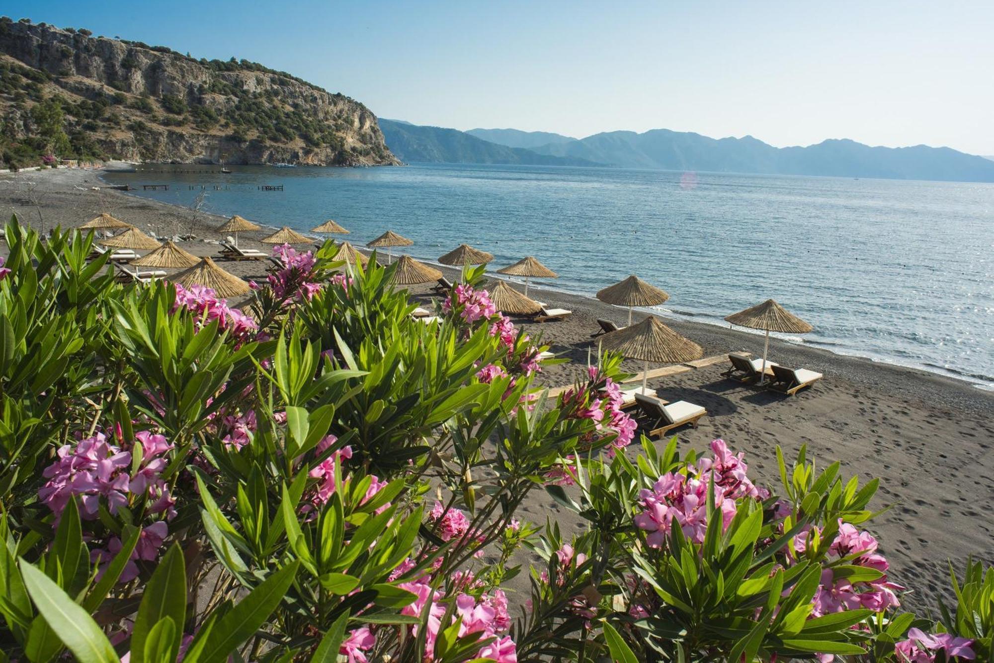 Asma, Villa Florya Marmaris Dış mekan fotoğraf